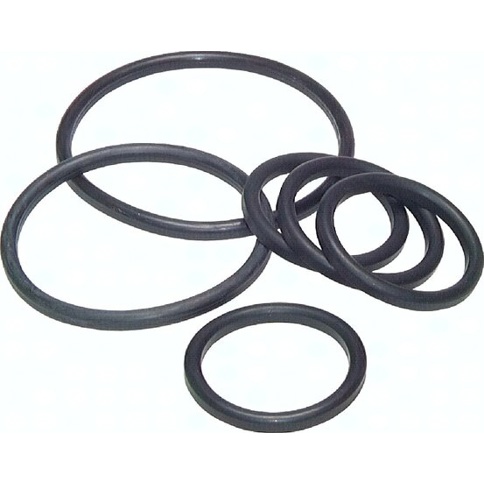 Milchgewinde-Dichtung DN 10 | FKM / PTFE vollummantelt | 12x20x4,5 mm | FDA-konform