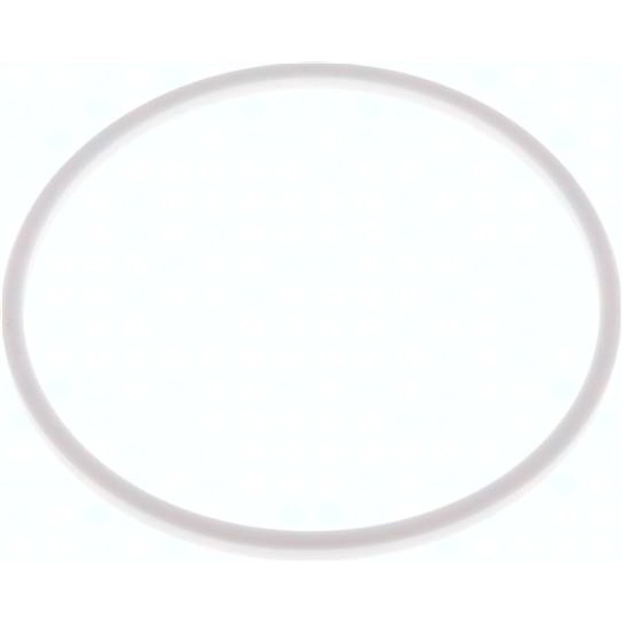 Milchgewinde-Dichtung DN 150 | PTFE weiß | 155x167x7 mm | FDA-konform