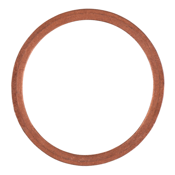 Dichtring Kupfer 31 x 26 x 2 mm – 25er-Pack | OE N0438541 für VAG